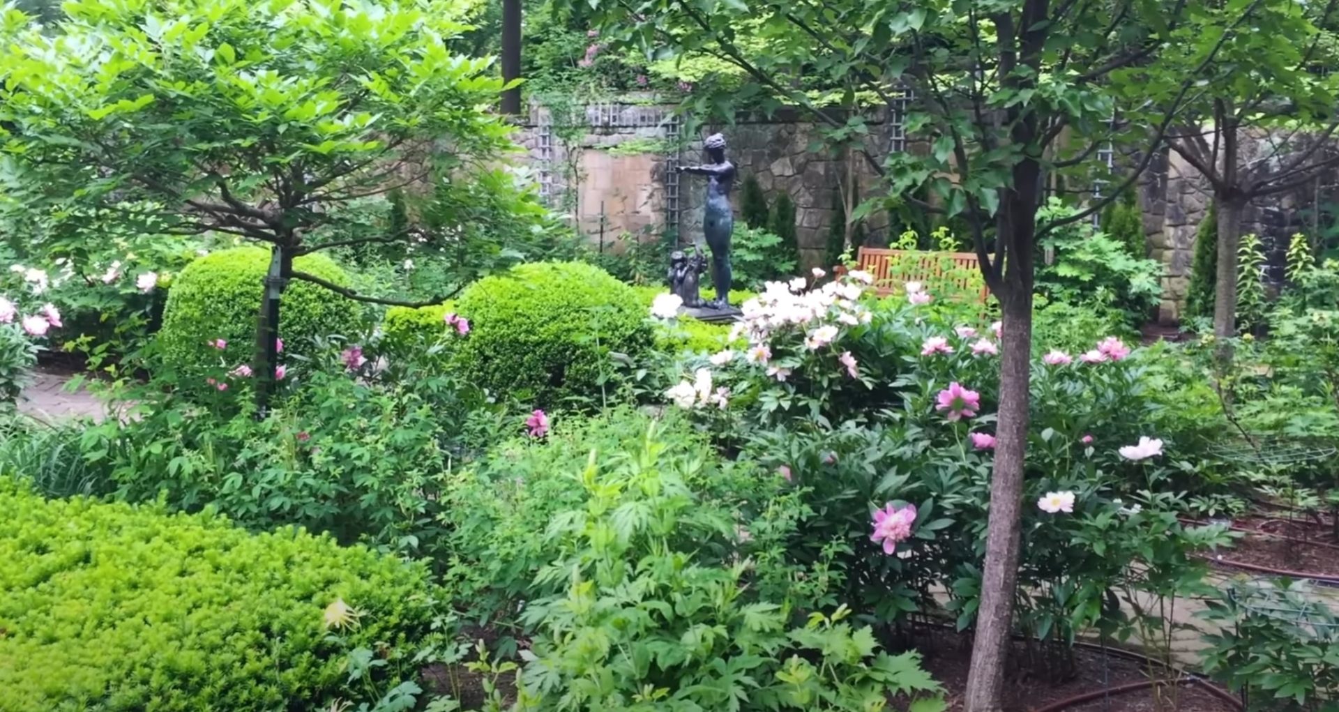 Formal Garden Design with Peony Plantings Formal garden with peonies and decorative urn centerpiece