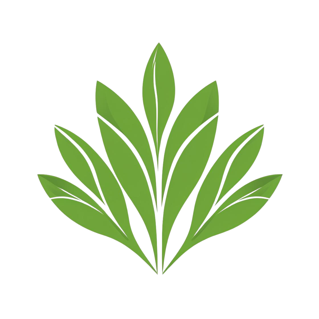 Boulderbrook San Leandro Landscaping - Professional Landscaping Services Boulderbrook San Leandro Landscaping Logo