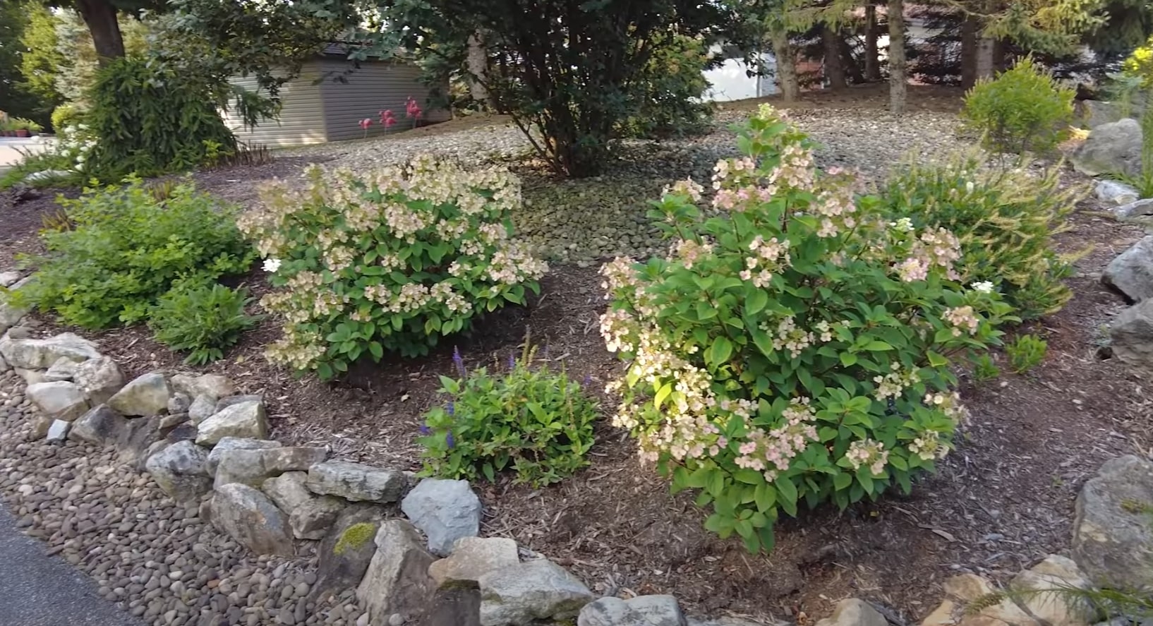 Hydrangea Garden Design with Natural Stone Edging Beautiful landscaped garden with hydrangeas and stone border